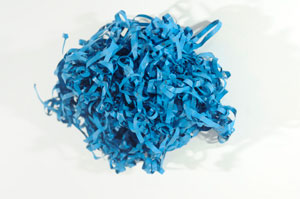 Un Ruido Azul detail